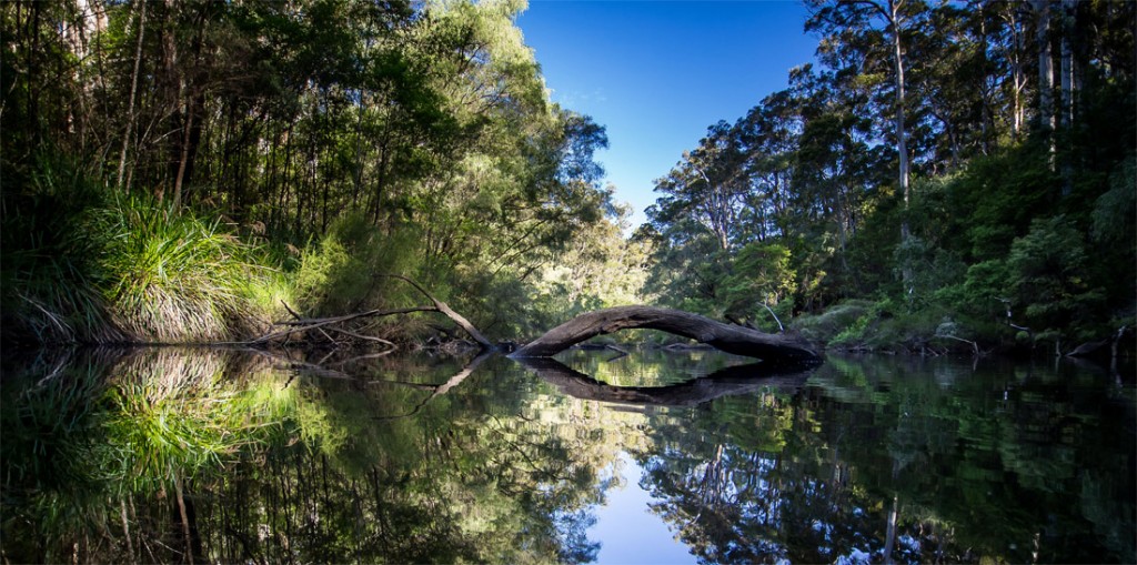 freshwater fishing